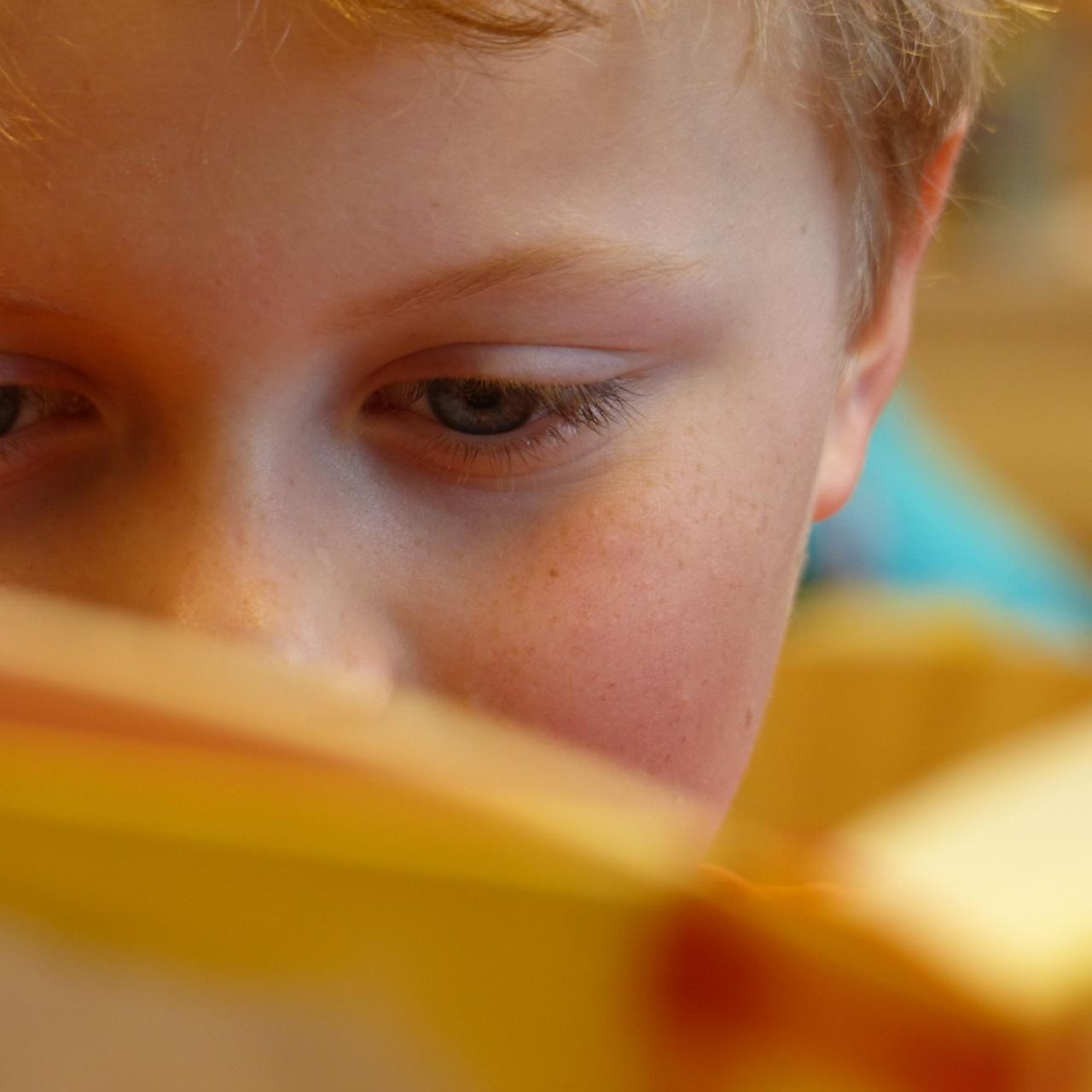 Symbolbild: Junge mit Buch